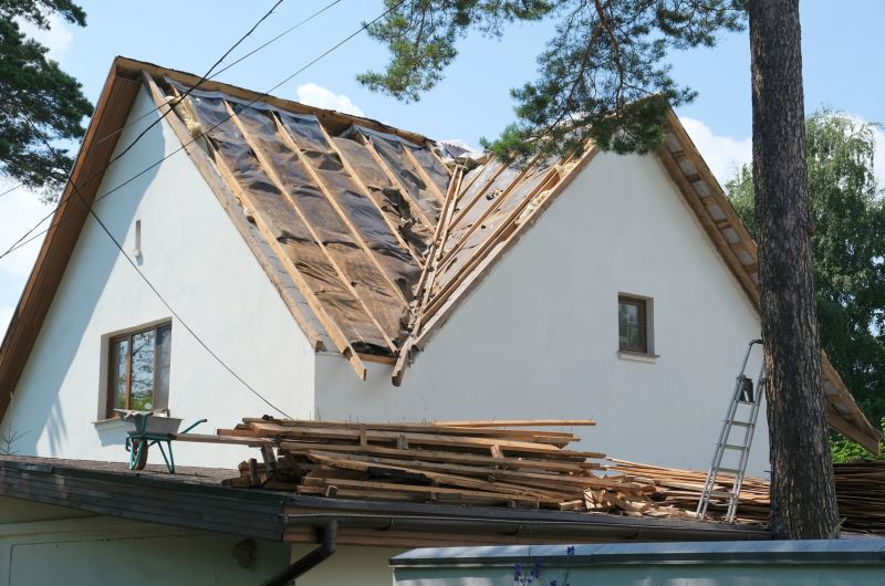 Damaged Roof Replacement detail