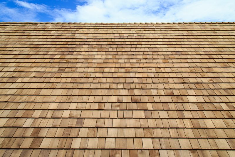 Shake Shingle Repair detail