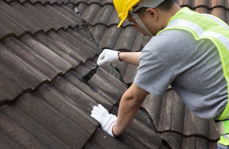 Professional Roofing in Troy